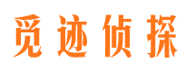 江陵侦探公司